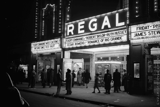 Festival audience at a screening