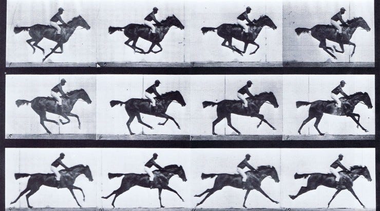 Eadweard Muybridge sequential photographs of a galloping horse and jockey