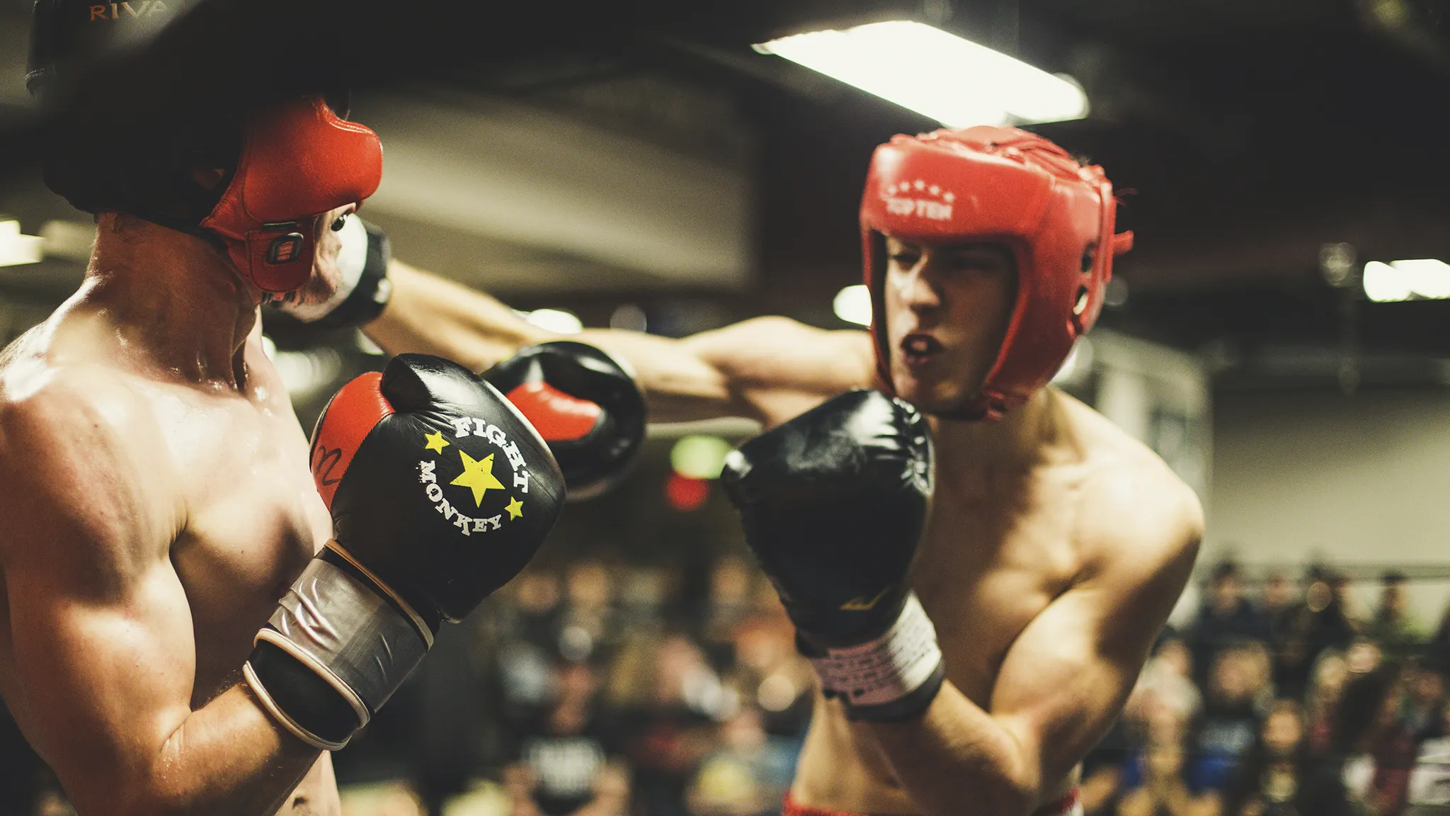 One two punch - boxers punching